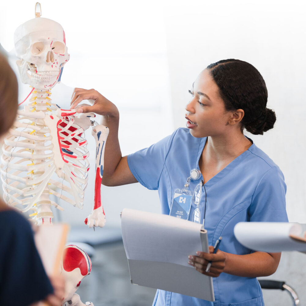 Education Suite Clinician Nexus